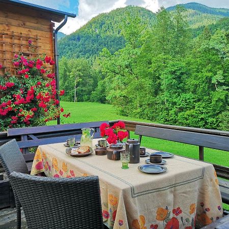 Holiday House Red Deer بريدفور المظهر الخارجي الصورة