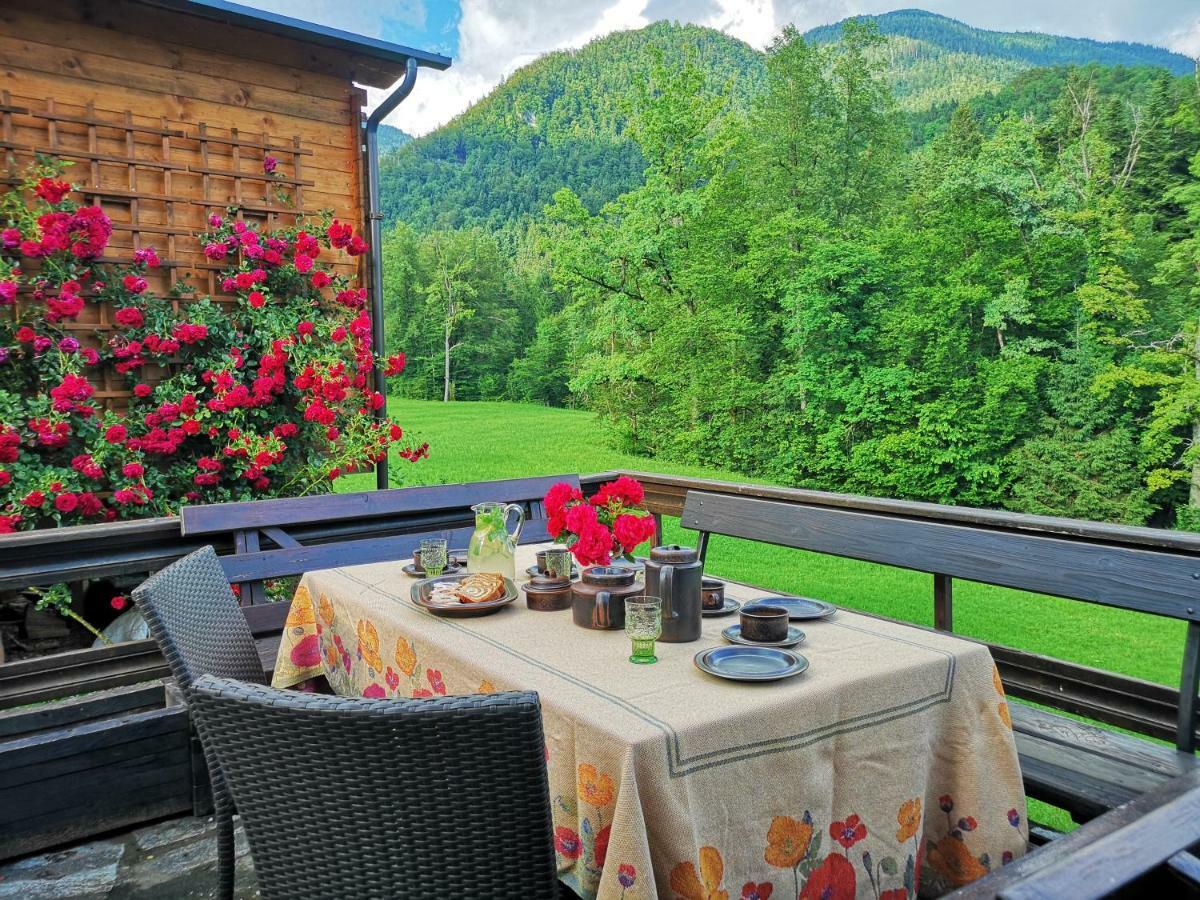 Holiday House Red Deer بريدفور المظهر الخارجي الصورة