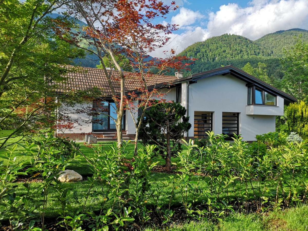 Holiday House Red Deer بريدفور المظهر الخارجي الصورة